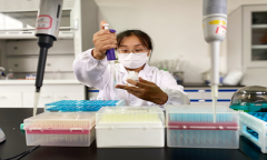 保障农产质量量平安！洛阳秋收玉米进入尝试室