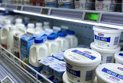 2026年食物平安范畴专项证书食物平安总监 